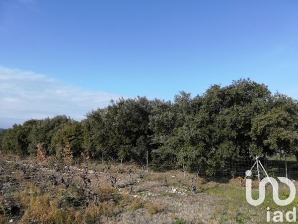 Terrain à vendre 1 368 m² Sainte-Cécile-les-Vignes