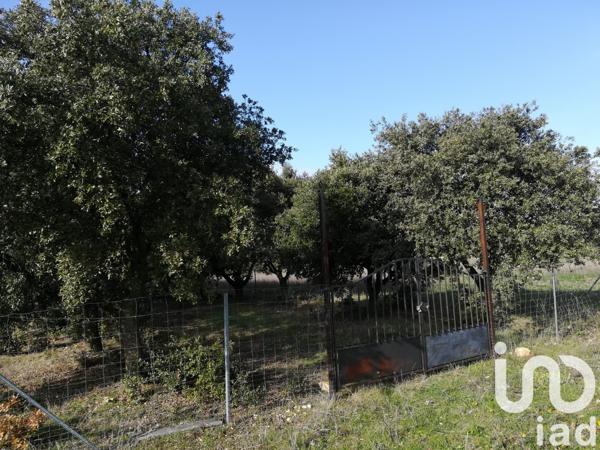 Terrain à vendre 1 368 m² Sainte-Cécile-les-Vignes