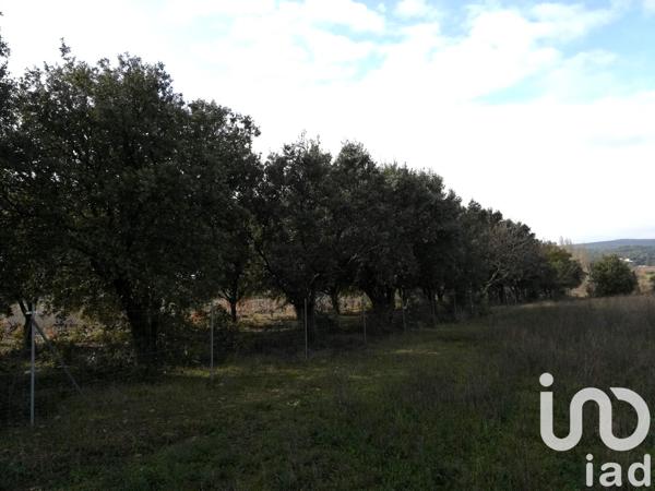 Terrain à vendre 1 368 m² Sainte-Cécile-les-Vignes