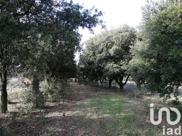 Terrain à vendre 1 368 m² Sainte-Cécile-les-Vignes