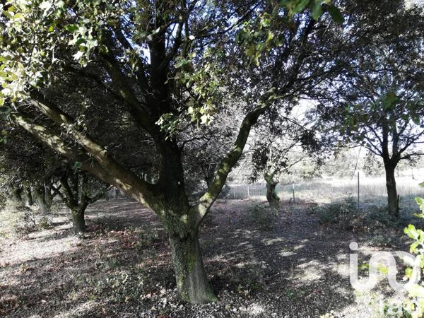 Terrain à vendre 1 368 m² Sainte-Cécile-les-Vignes