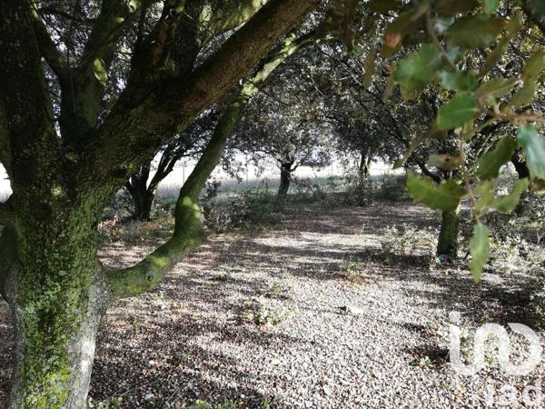 Terrain à vendre 1 368 m² Sainte-Cécile-les-Vignes