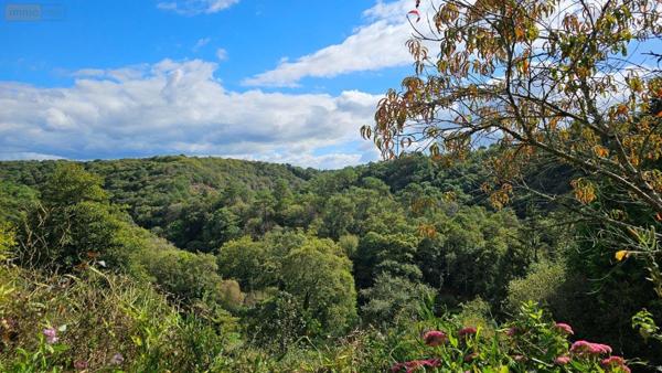 Maison à vendre à Tréméven dans le Finistère (29300), ref : 29166/15
