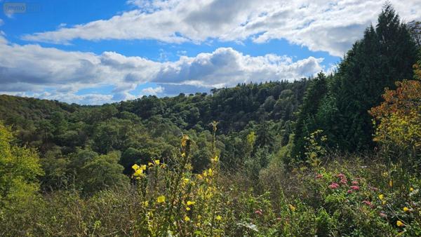Maison à vendre à Tréméven dans le Finistère (29300), ref : 29166/15