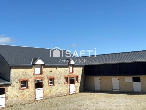 Magique, féerique !