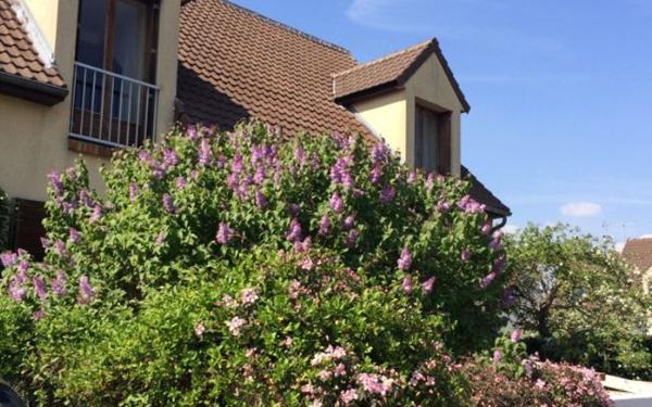 Maison à louer    5 pièces •  Noisy-le-Roi