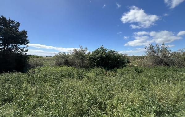 Vente Maison Marseillan   