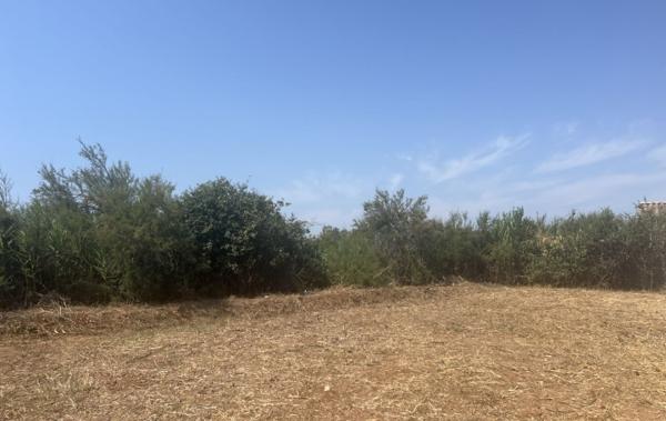 Vente Maison Marseillan   