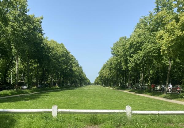 Maison à vendre à Maisons-Laffitte (78600) - Yvelines