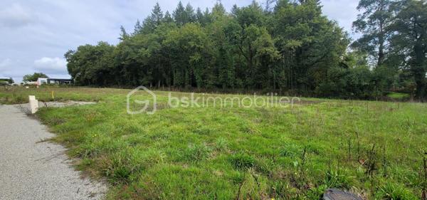 Terrain de 510 m²