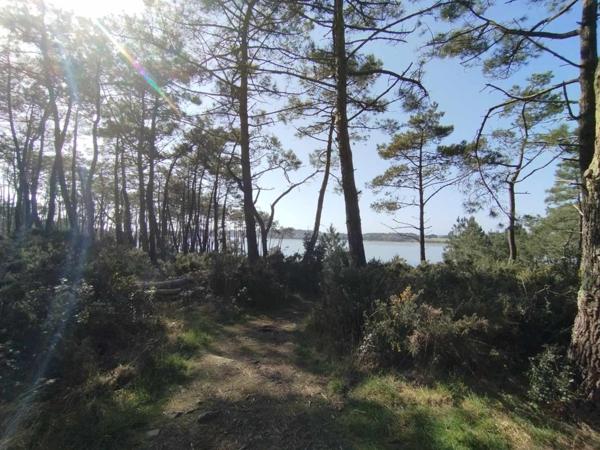 Terrain à BADEN, 56870 - 305m²