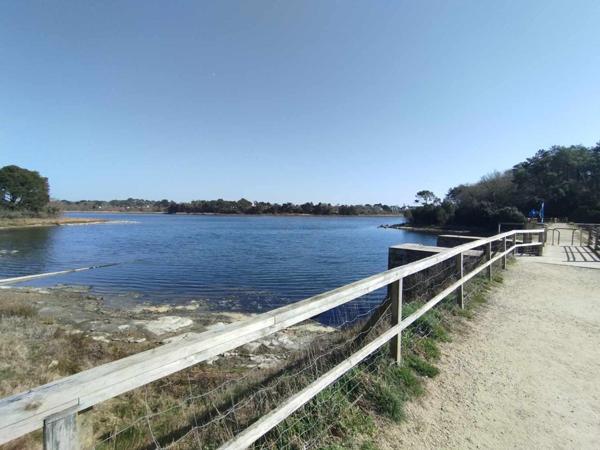 Terrain à BADEN, 56870 - 305m²