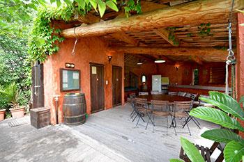 L'Isle-sur-la-Sorgue (84800) VENDU Imposant Mas dans village typique