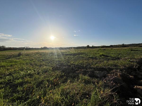 Terrain - À vendre - 2 158 m² - LABOURGADE | The Door Man