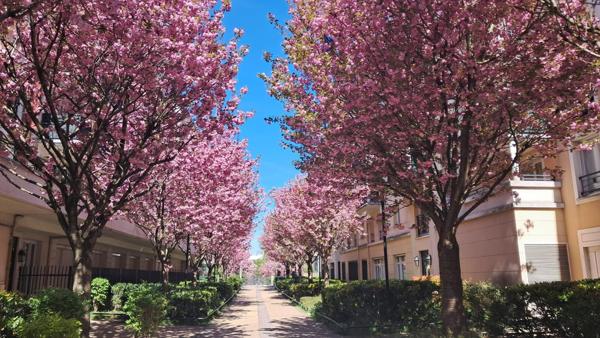 Appartement Villeneuve La Garenne 3 pièces de 70,05m2