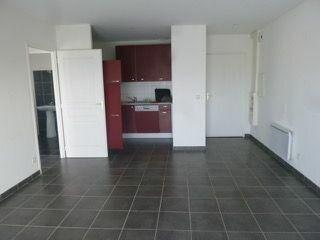Appartement à louer    2 pièces •  Livron-sur-Drôme