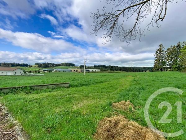 Terrain à vendre  1093 m 2   RAUCOULES  - 43