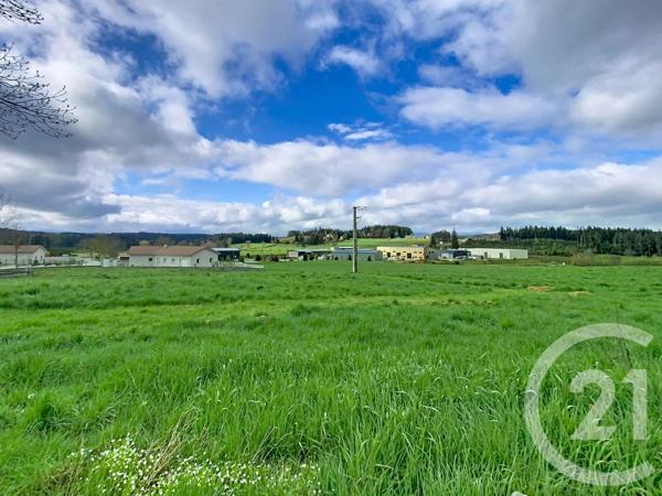 Terrain à vendre  1093 m 2   RAUCOULES  - 43