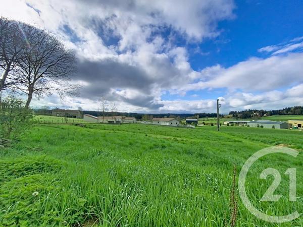 Terrain à vendre  1093 m 2   RAUCOULES  - 43