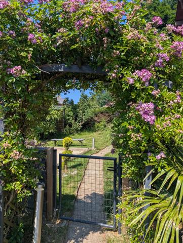 Chalet à 5 mn du lac et du centre