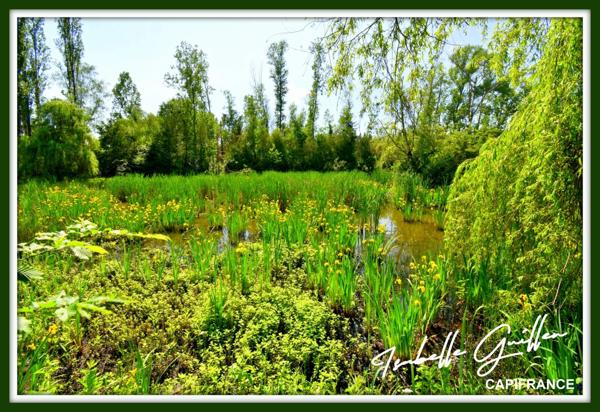 Dpt Cher (18), à vendre CHATEAUMEILLANT terrain