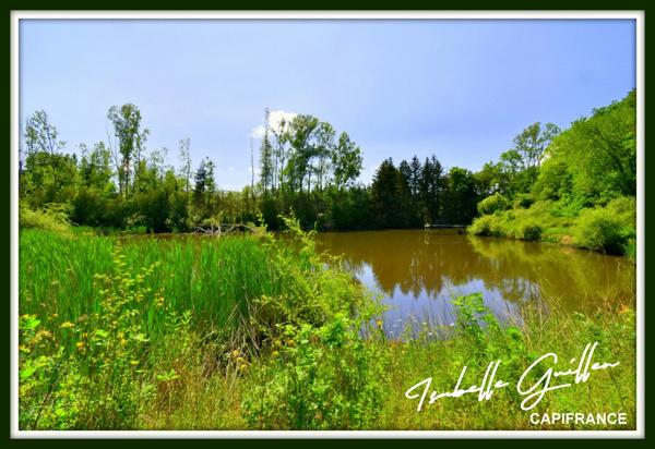 Dpt Cher (18), à vendre CHATEAUMEILLANT terrain