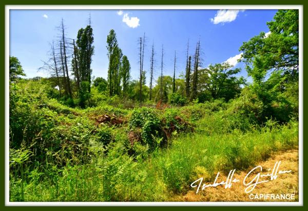 Dpt Cher (18), à vendre CHATEAUMEILLANT terrain