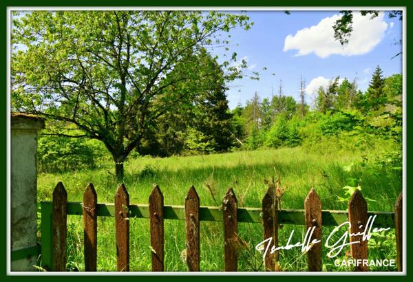 Dpt Cher (18), à vendre CHATEAUMEILLANT terrain