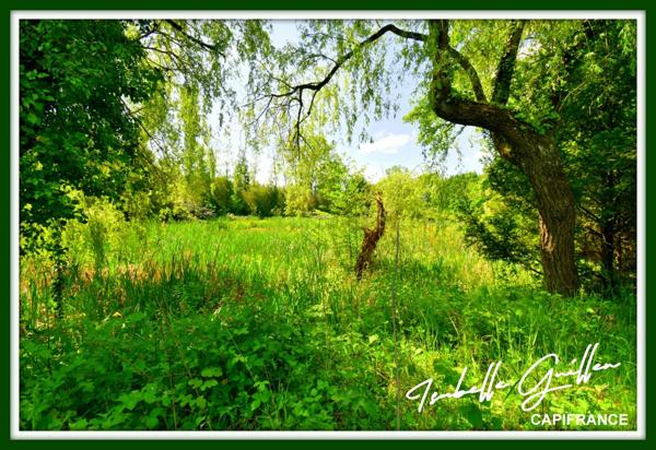 Dpt Cher (18), à vendre CHATEAUMEILLANT terrain