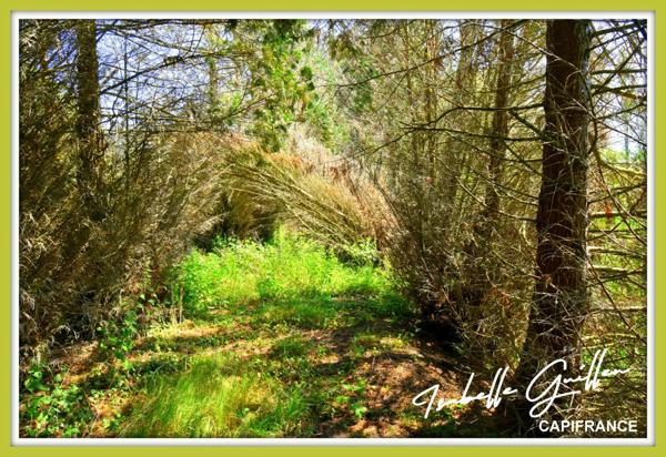 Dpt Cher (18), à vendre CHATEAUMEILLANT terrain