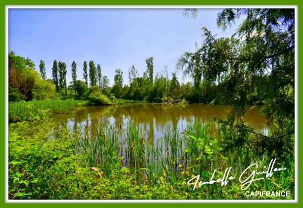 Dpt Cher (18), à vendre CHATEAUMEILLANT terrain