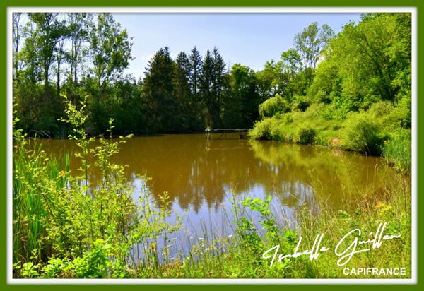 Dpt Cher (18), à vendre CHATEAUMEILLANT terrain