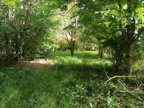 Terrain à vendre 40 000 € Le Vigan-en-Quercy 3135 m² DPE