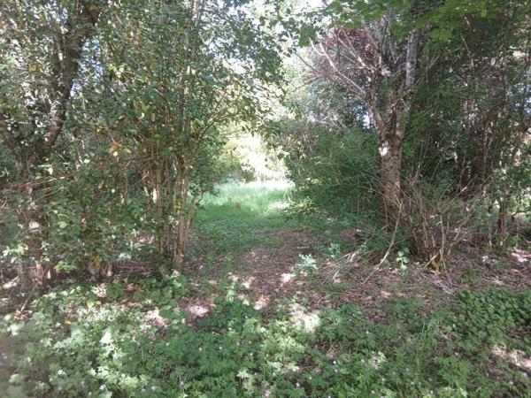 Terrain à vendre 40 000 € Le Vigan-en-Quercy 3135 m² DPE