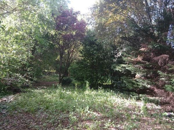 Terrain à vendre 40 000 € Le Vigan-en-Quercy 3135 m² DPE