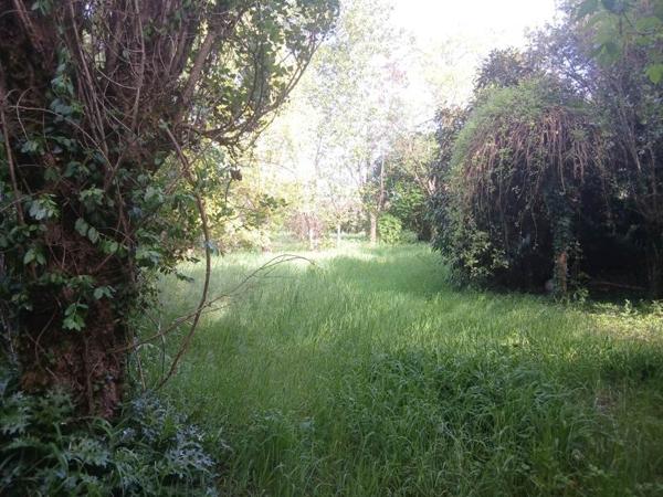 Terrain à vendre 40 000 € Le Vigan-en-Quercy 3135 m² DPE