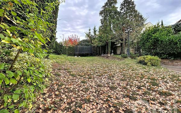 Maison à vendre    5 pièces • 177 m2 Maisons-Alfort