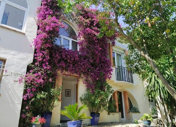 Maison à vendre    7 pièces •  Le Cannet