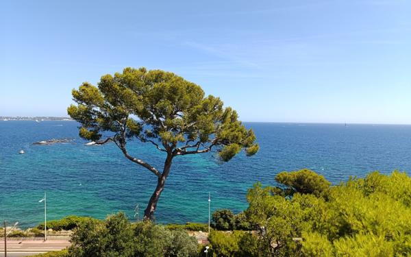 Appartement à vendre    3 pièces • 83 m2 Cannes