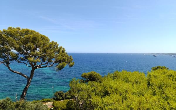 Appartement à vendre    3 pièces • 83 m2 Cannes