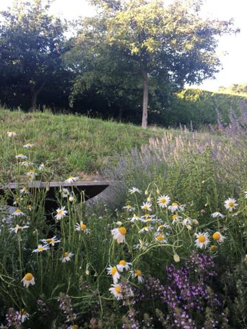 Belle maison familiale avec appartement indépendant et piscine