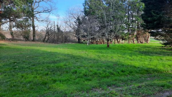 Maison plain pied, 3 chambres, piscine