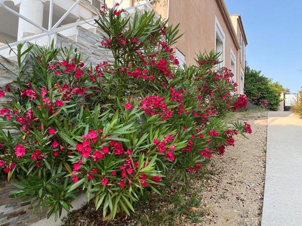 Appartement Sausset Les Pins 3 pièces 67 m2 +Terrasse de 24M2  vue MER