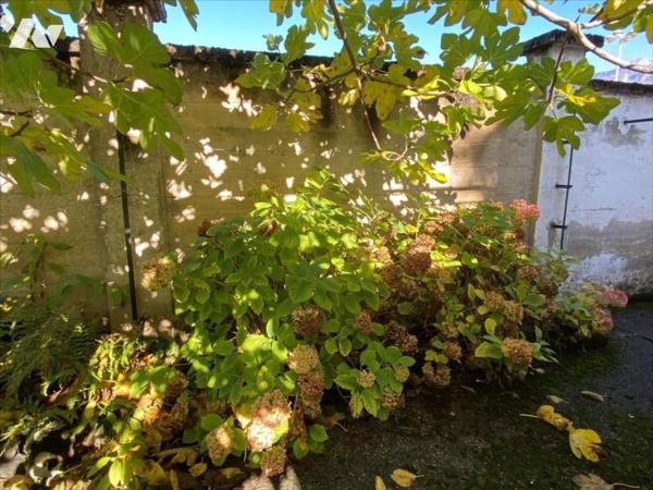 CHAMBERY Proche Centre