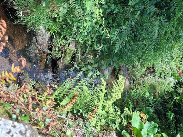 Maison de plain pied ,clé en main avec joli jardin arboré