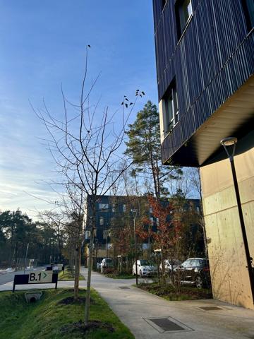 Bureaux à louer à PETIT COURONNE 76650