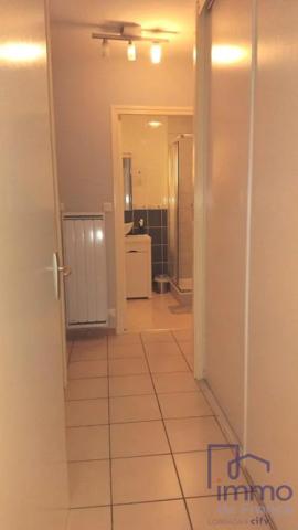 Appartement à vendre à Saint-Étienne (42000)