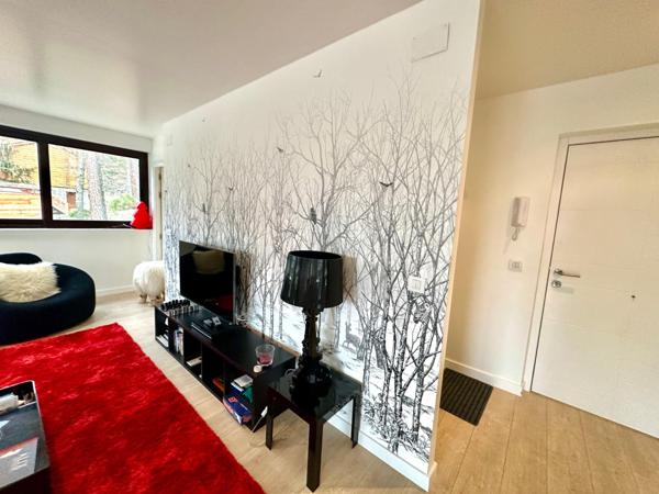 Pyrénées 2000 - Sapcieux appartement prêt à habiter