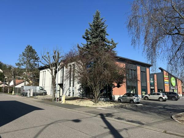 BUREAUX à LOUER de 231 m²