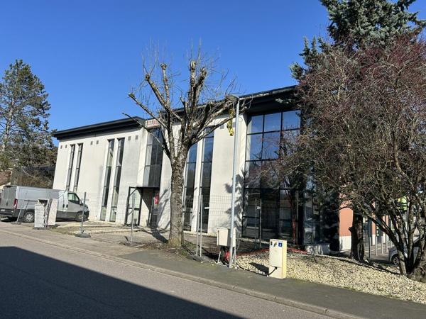 BUREAUX à LOUER de 231 m²